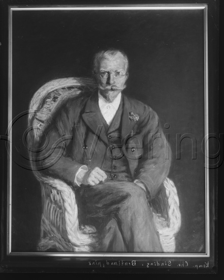 Glassplate og negativ bladfilm