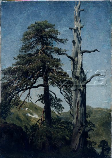 August Cappelen (1827-1852), 
Size: 35x25 cm,
Genre: Painting, 
Location: Museum,