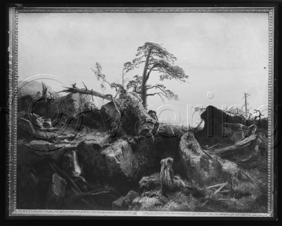 Glassplate og negativ bladfilm