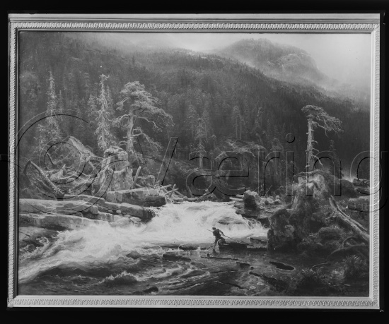 Glassplate og negativ bladfilm