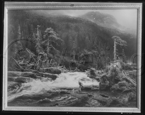 Glassplate og negativ bladfilm