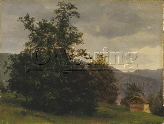 August Cappelen (1827-1852)
Size: 33x43.5 cm
Location: Private
Photo: O.Væring