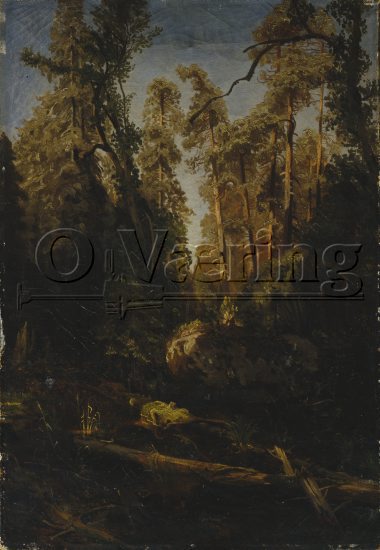 August Cappelen (1827-1852)
Size: 50x34.5 cm
Location: Private
Photo. O.Væring