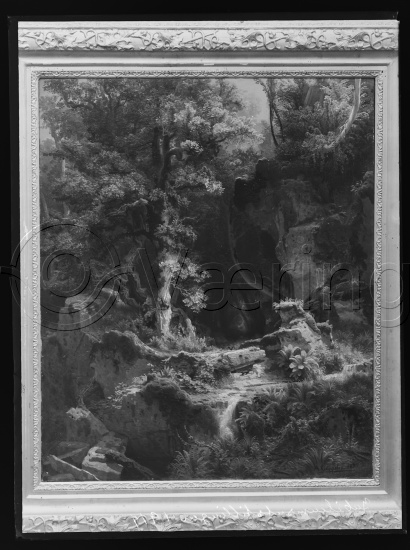Glassplate og negativ film
