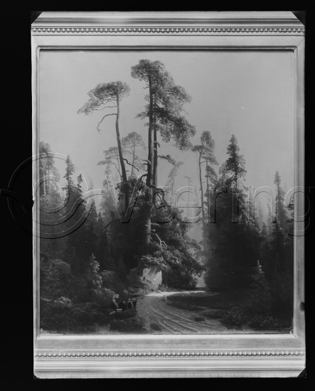 Glassplate og negativ film