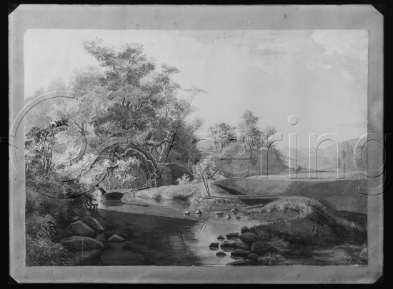 Glassplate og negativ film