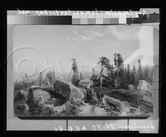 Glassplate og negativ film