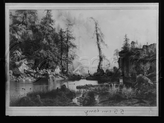 Glassplate og negativ film