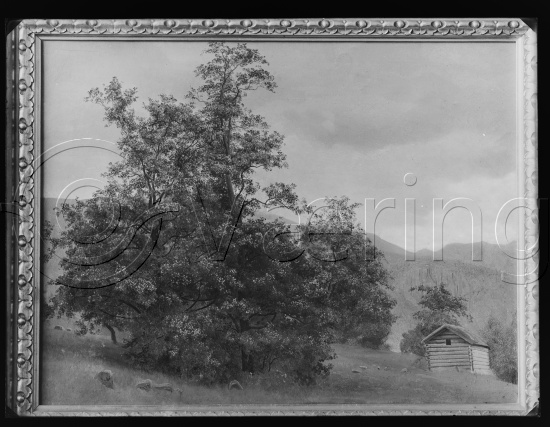 Glassplate og negativ film