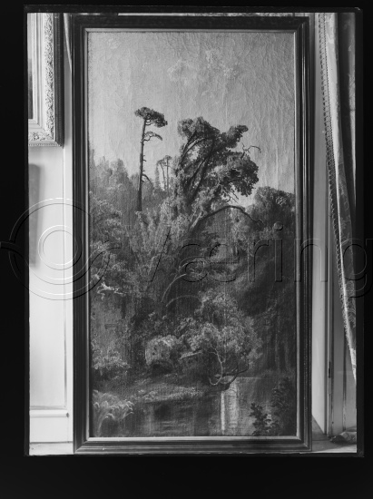Glassplate og negativ film