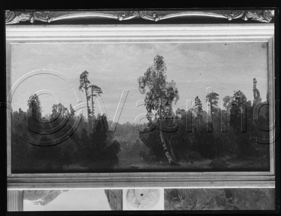 Glassplate og negativ film