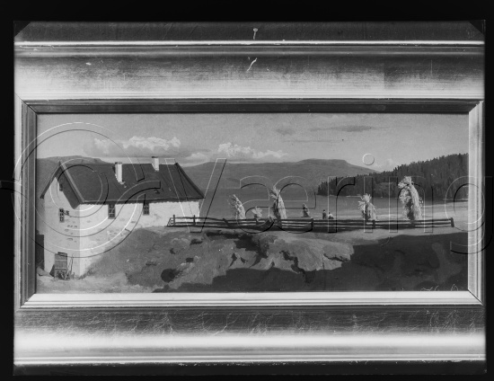 Glassplate og negativ film