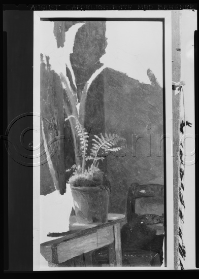 Glassplate og negativ film