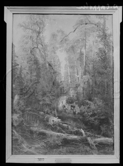 Glassplate og negativ film