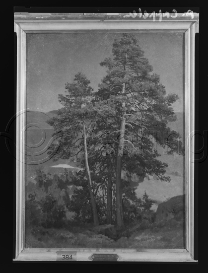 Glassplate og negativ film