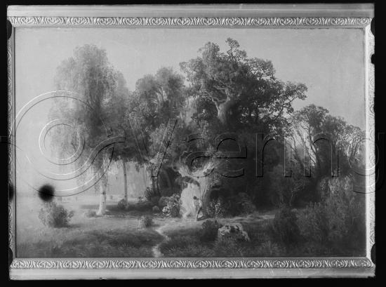 Glassplate og negativ film