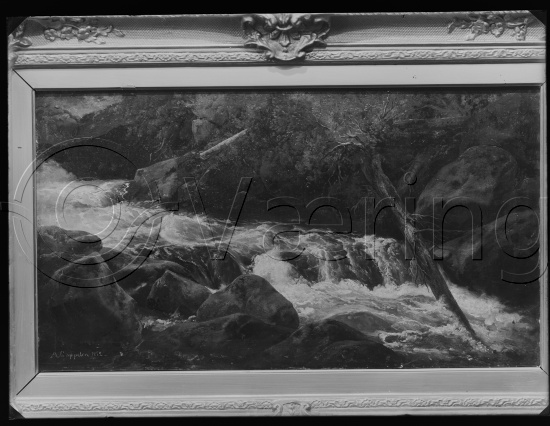 Glassplate og negativ film