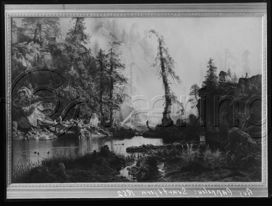 Glassplate og negativ film