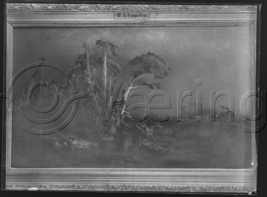 Glassplater og negativ film