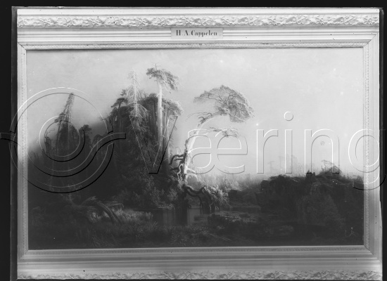 Glassplater og negativ film