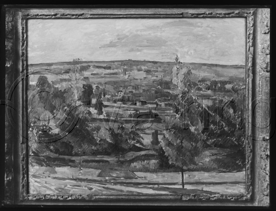 Glassplate og negativ bladfilm