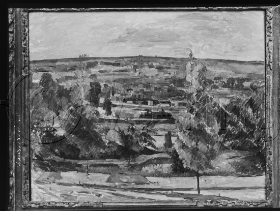 Glassplate og negativ bladfilm