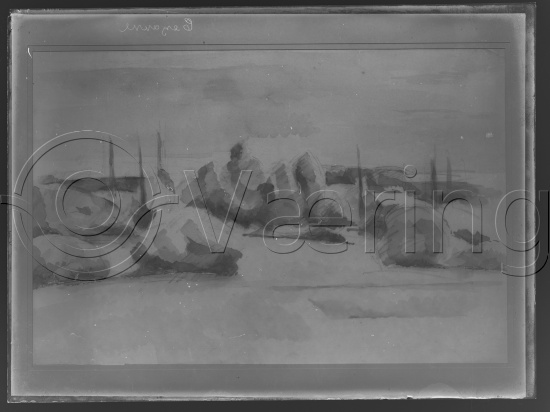 Glassplate og negativ bladfilm