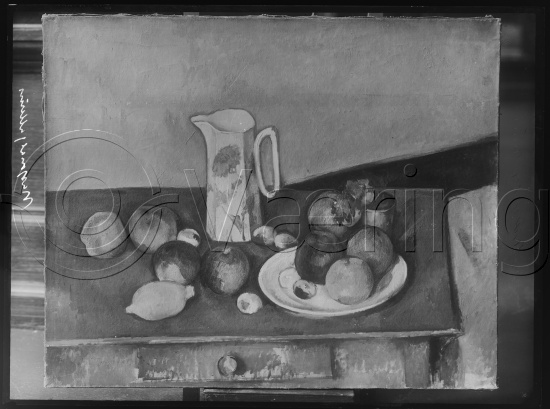 Glassplate og negativ bladfilm