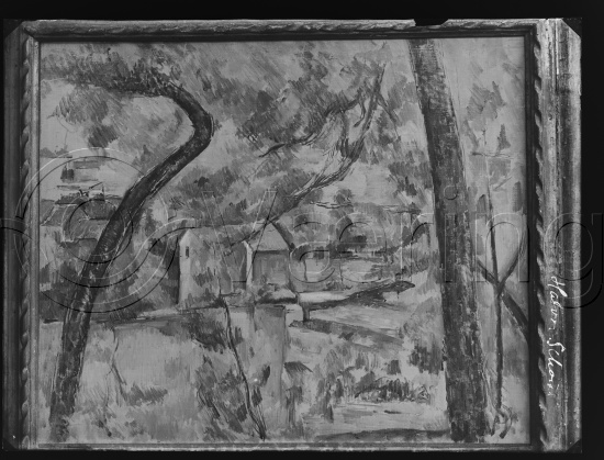 Glassplate og negativ bladfilm