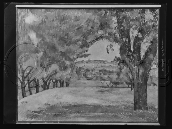 Glassplate og negativ bladfilm