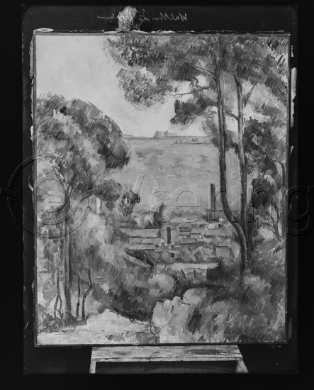 Glassplate og negativ bladfilm