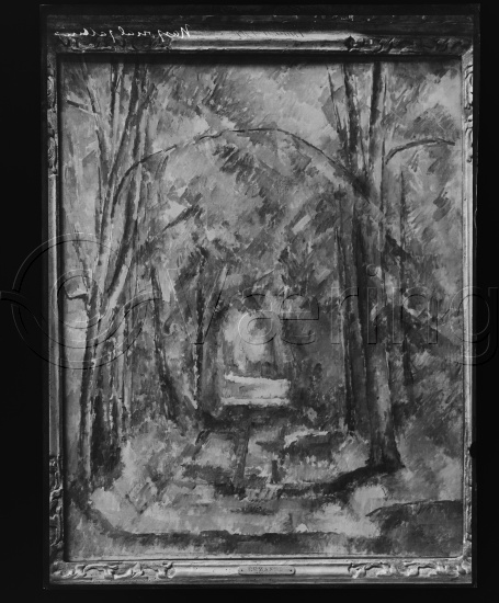 Glassplate og negativ bladfilm