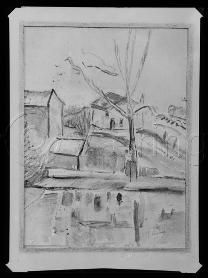 Glassplate og negativ bladfilm