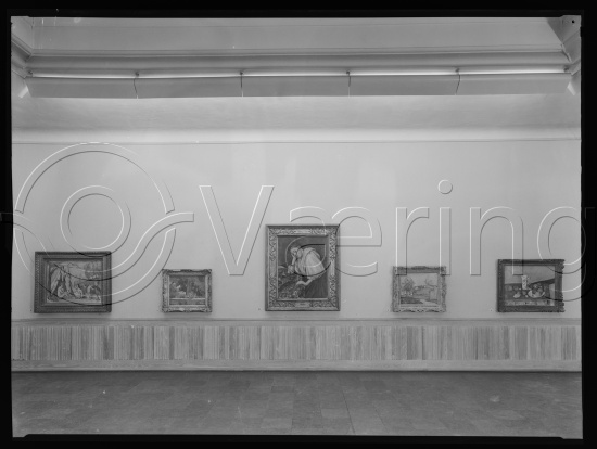 Glassplate og negativ bladfilm