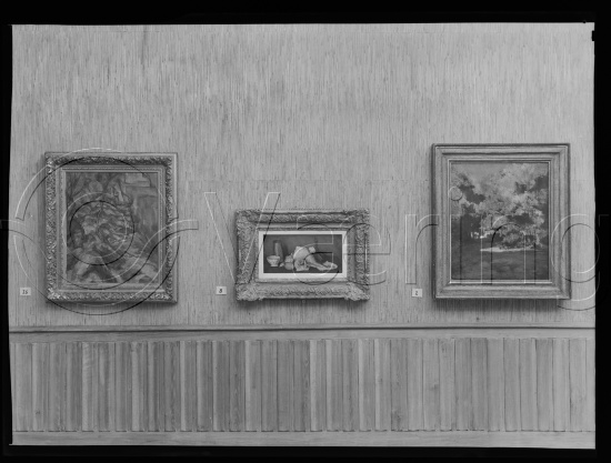 Glassplate og negativ bladfilm