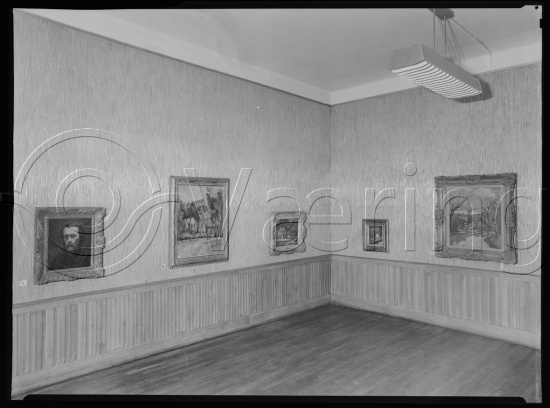 Glassplate og negativ bladfilm