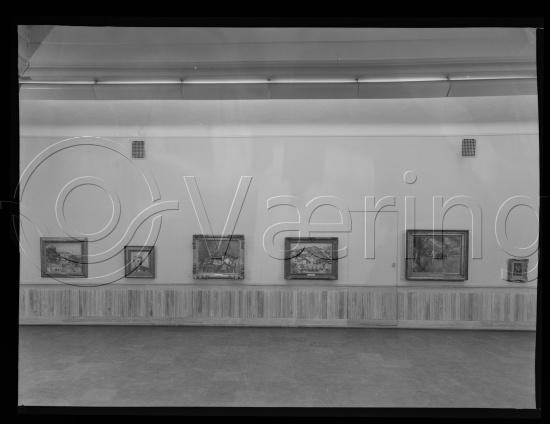 Glassplate og negativ bladfilm