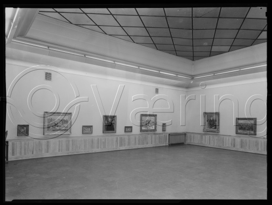 Glassplate og negativ bladfilm