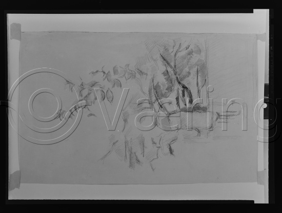 Glassplate og negativ bladfilm