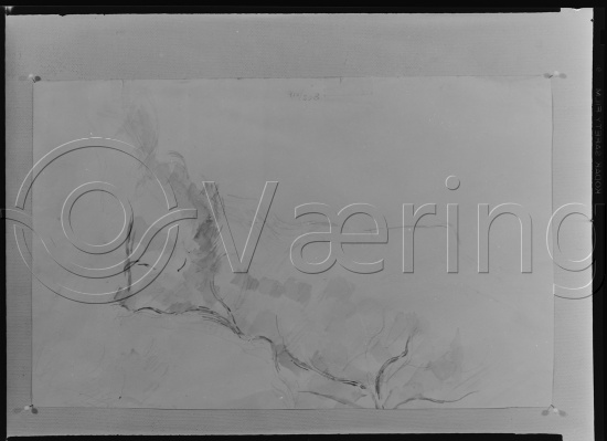 Glassplate og negativ bladfilm