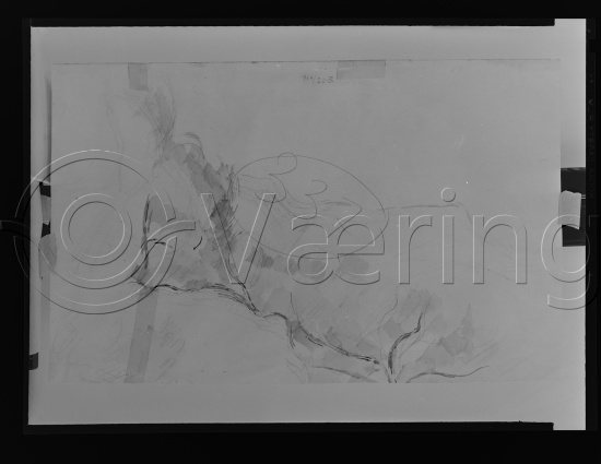 Glassplate og negativ bladfilm