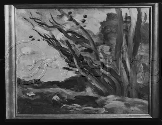 Glassplate og negativ film