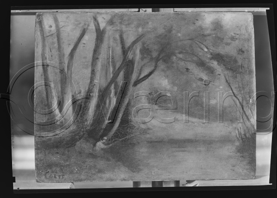 Glassplate og negativ film