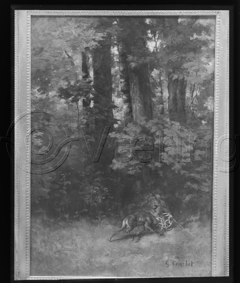 Glassplate og negativ film