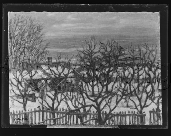 Glassplate og negativ film