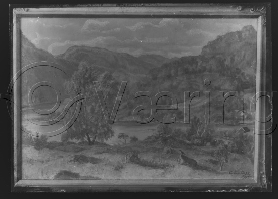 Glassplate og negativ film