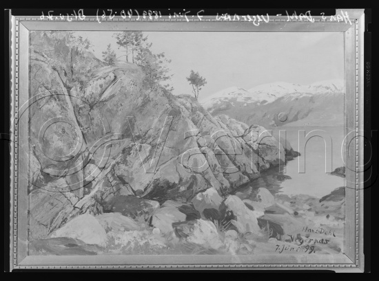 Glassplater og negativ film