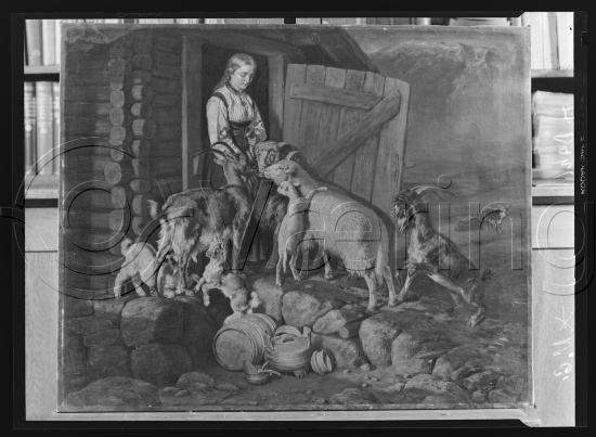 Glassplater og negativ film