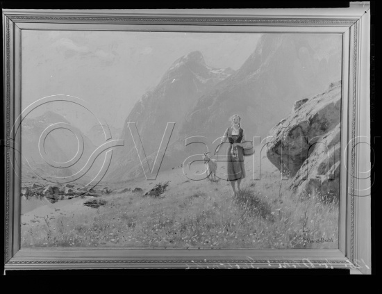 Glassplate og negativ film