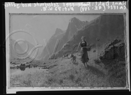 Glassplate og negativ film